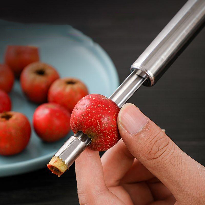 Stainless Steel Fruit Corer Ap - Tech Accessories And Gadgets ulasan dan harga