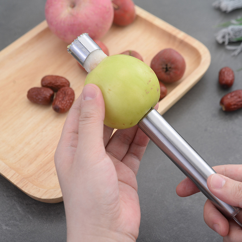 Stainless Steel Fruit Corer Ap - Tech Accessories And Gadgets ulasan dan harga