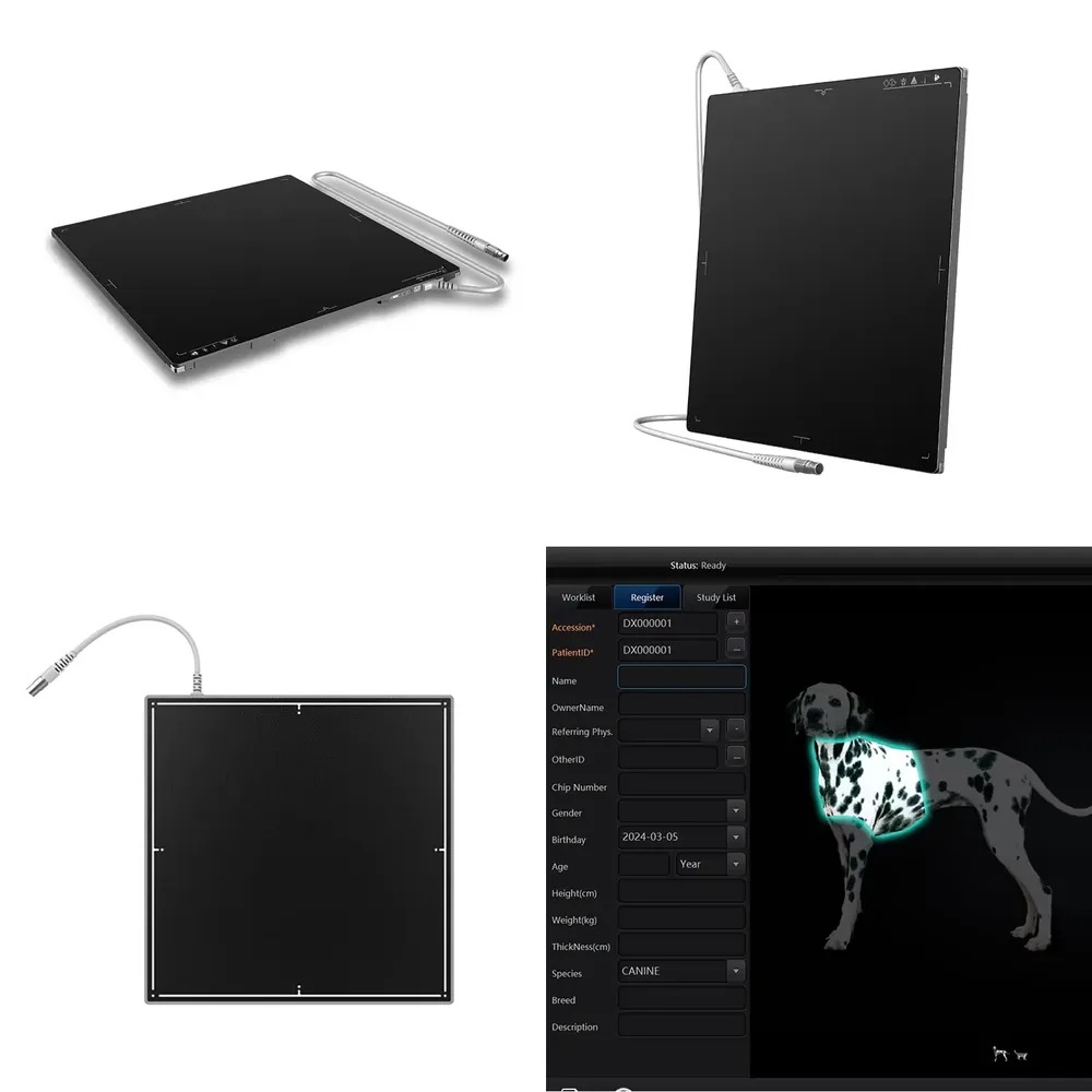 Hot Sale 1717 Inches AEC Tech  - Tech Accessories Brands ulasan dan harga